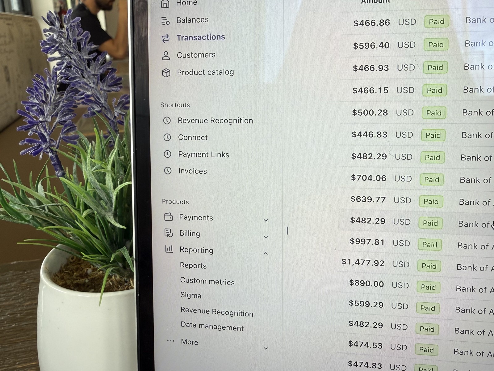 Panel de pagos con ventas reales de un negocio digital